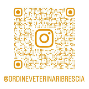Img Qr Code Instagram